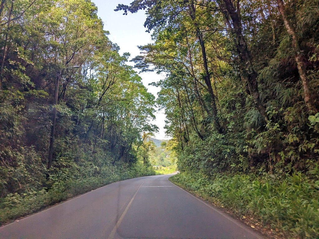 Narrow road entrance to Bijagua, Caribbean side of Costa Rica