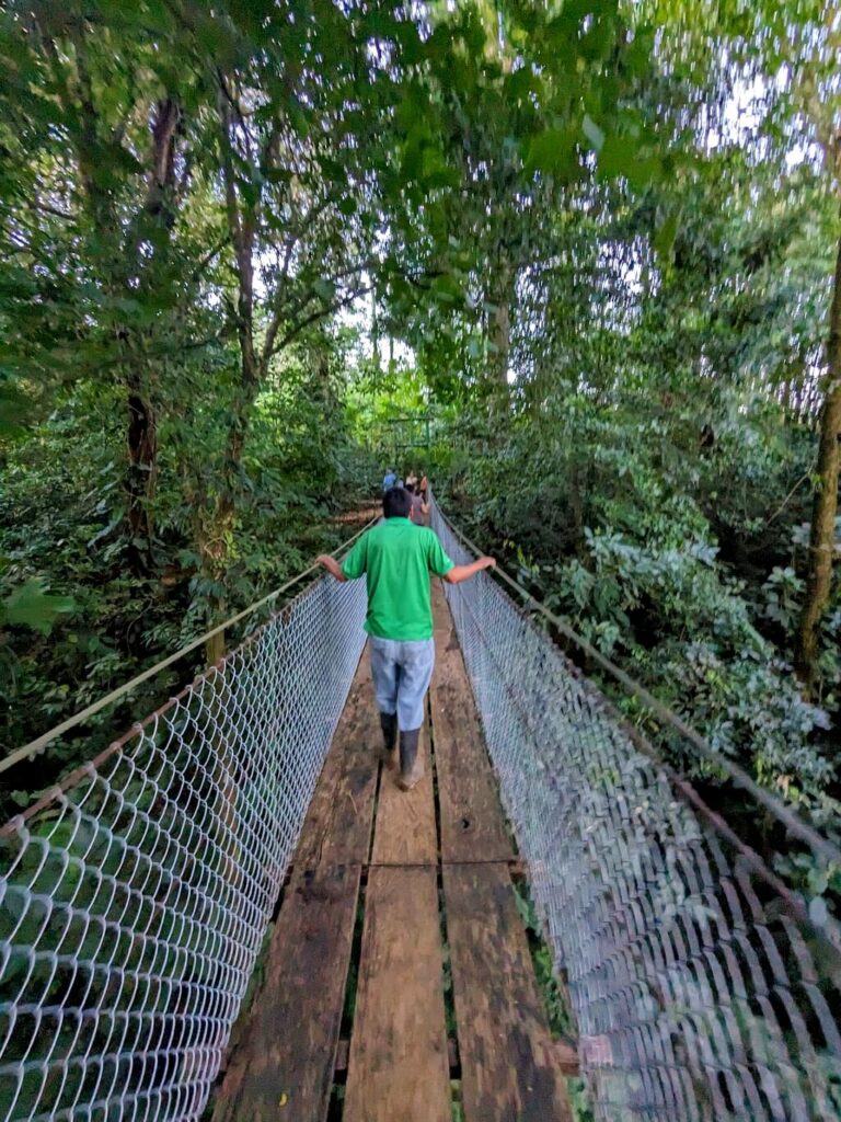 Walking the hanging bridges in Costa Rica's rainforest canopy