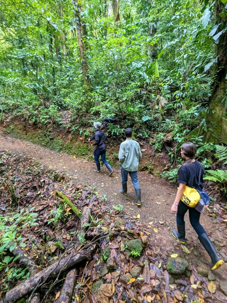 Three hikers exploring Tapir Valley preserve in Bijagua, Costa Rica