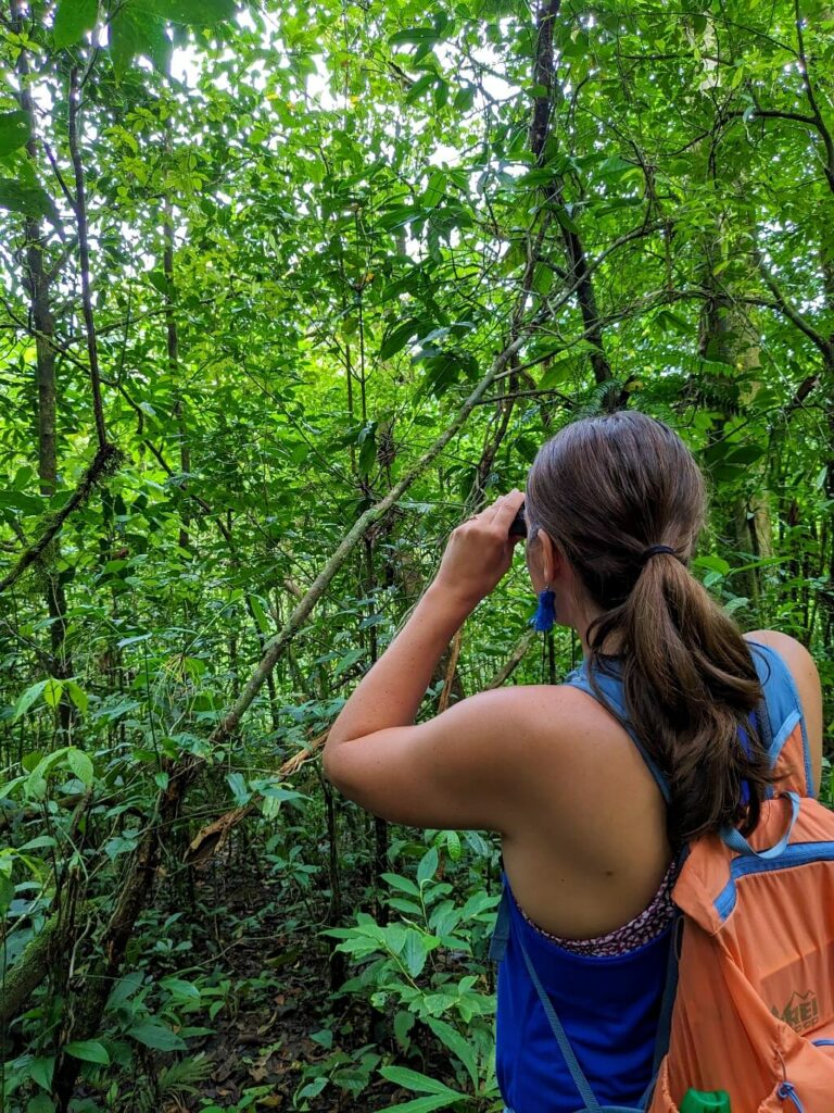 Travelers using binoculars to inspect wildlife up close in the Rainforest of Bijagua, Costa Rica.