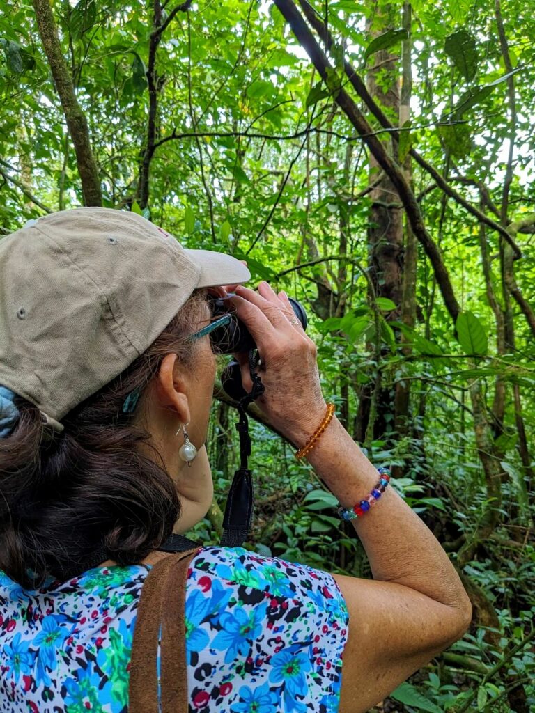 Woman using binoculars to explore the lush rainforest near Bijagua, Costa Rica, offering plenty of opportunities to learn and discover new species from the rainforest and tropics.