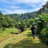 Tour guide in proper attire (including rubber boots and telescope) leads a group on a well-marked trail through the lush rainforest of Tapir Valley Nature Reserve, near Bijagua, Costa Rica. Sunlight peeks through the verdant canopy