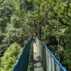 Close-up view of the skinny and long hanging bridges at Heliconias Reserve in Bijagua, Costa Rica.