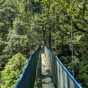 Close-up view of the skinny and long hanging bridges at Heliconias Reserve in Bijagua, Costa Rica.