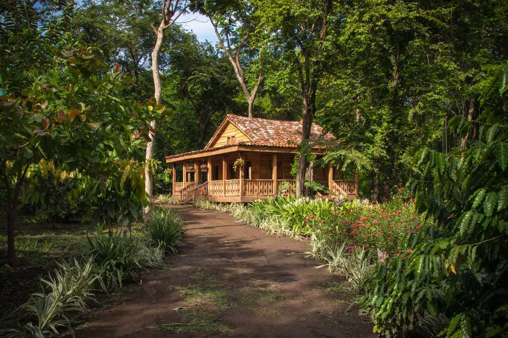 Rustic casita surrounded by vegetation and flowers, with a path leading to it.