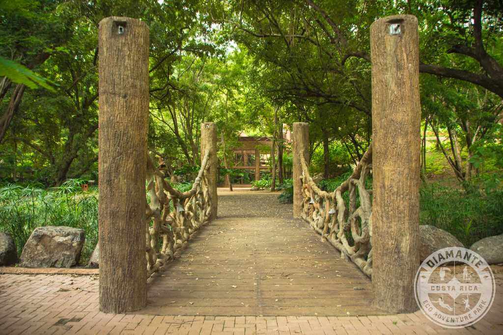 Rustic wooden bridge crossing a small stream within the natural park facilities.