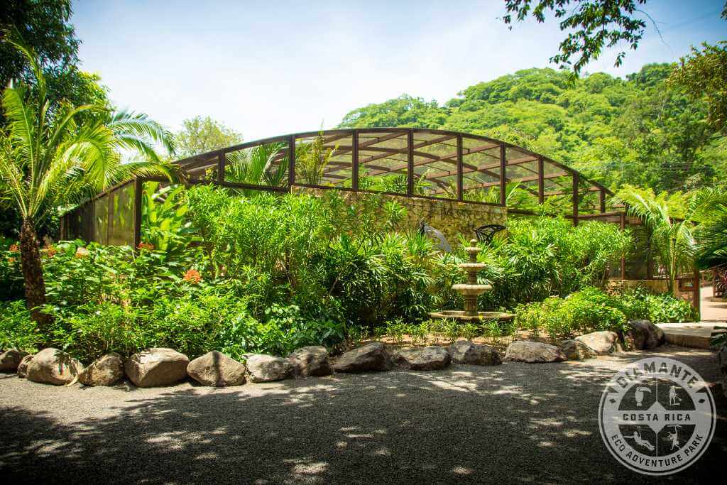 Nursery in a natural park with different species of plants.