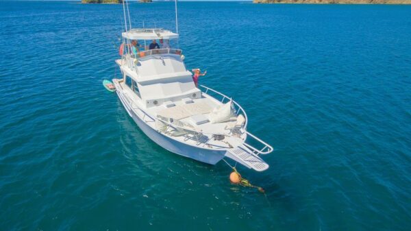 Boating adventure from the air: blue sea and clear skies
