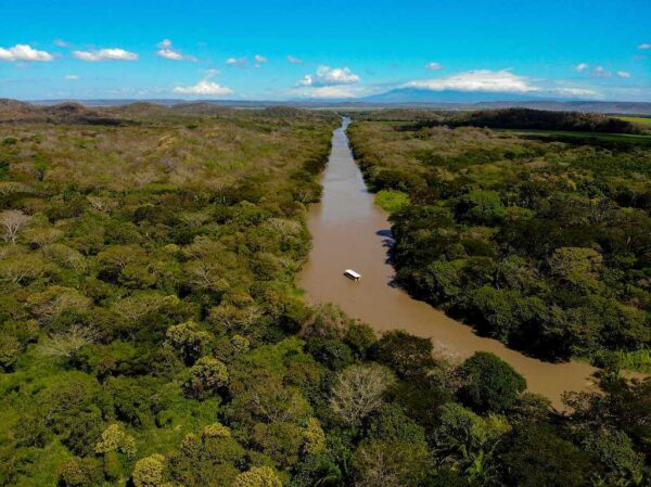Tempisque River Boat Ride & Rum or Beer Tour - Image 2