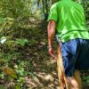 Vaqueano leading the way on a trail surrounded by lush vegetation.
