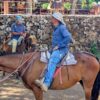 Sabanero guide on horseback, prepared to lead a cattle herding experience in a rural pasture.