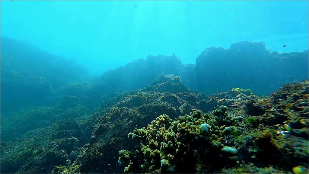 Underwater rock reefs