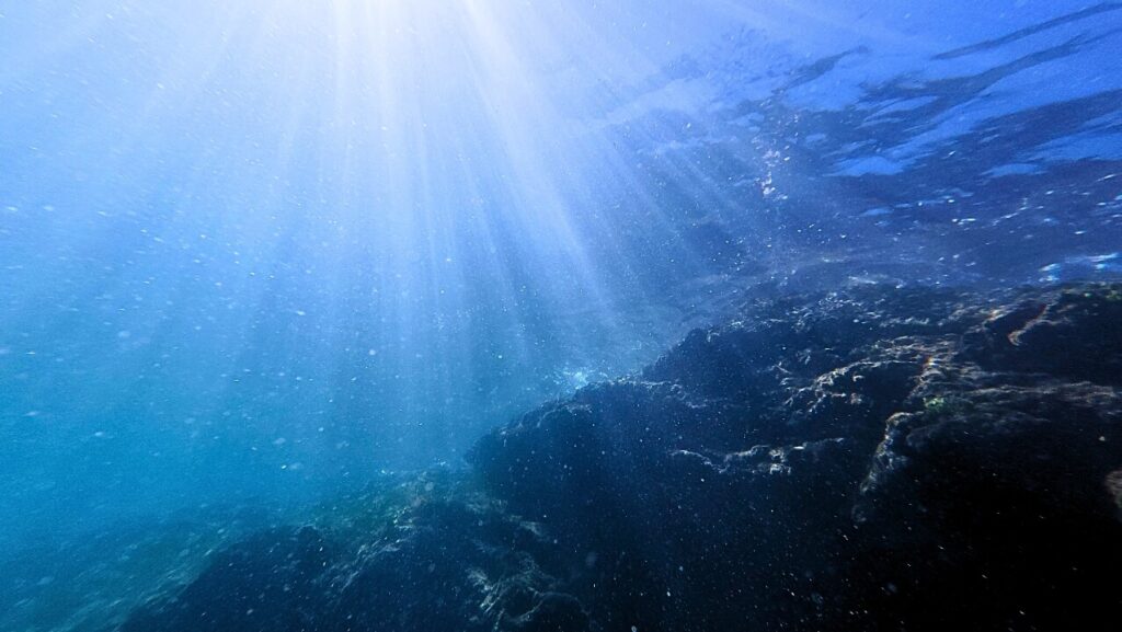 Underwater world of the Pacific Ocean in Costa Rica