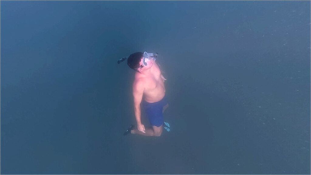 Free Diving during a Snorkeling session with Link Expeditions
