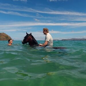 Traveler swimming on horseback in turquoise ocean water under blue sky during a swimming with horses tour in Guanacaste, Costa Rica