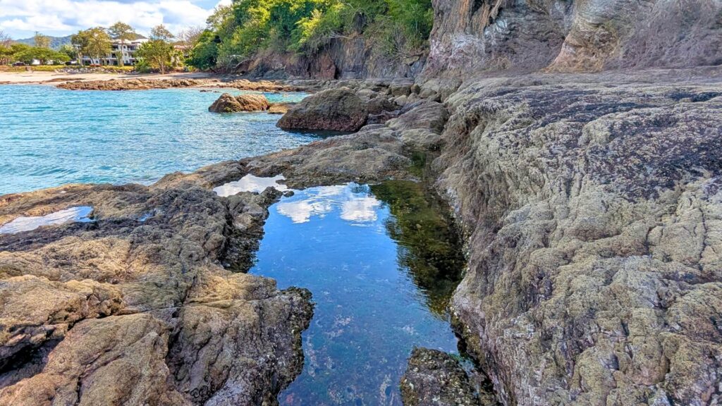 Rocky beach tide pool filled with marine life near Flamingo Beach, Costa Rica, on a sunny day with blue ocean and coastal cliffs