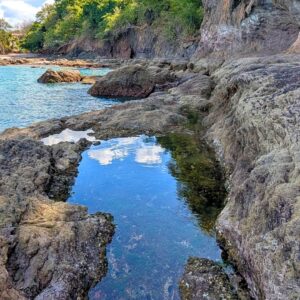 Rocky beach tide pool filled with marine life near Flamingo Beach, Costa Rica, on a sunny day with blue ocean and coastal cliffs