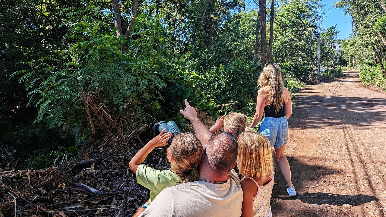 Family with three young children looking up for howler monkeys on a backroad during a private morning tour in Guanacaste, Costa Rica