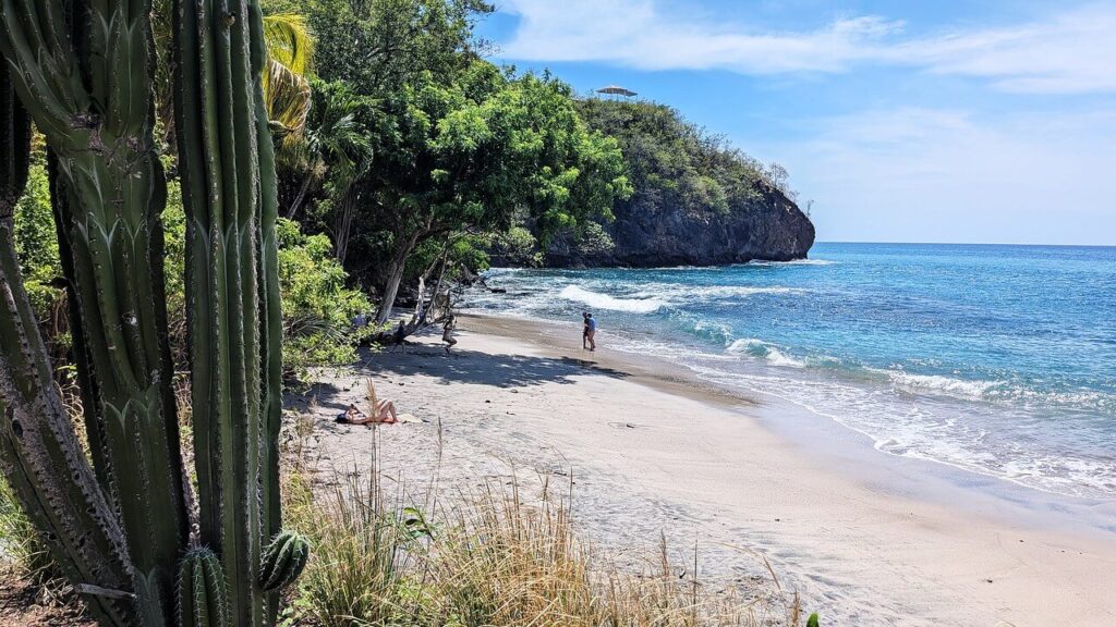 Calm blue ocean and sky at a Hidden Beach near Flamingo, Guanacaste, with a local cactus and people enjoying the shore